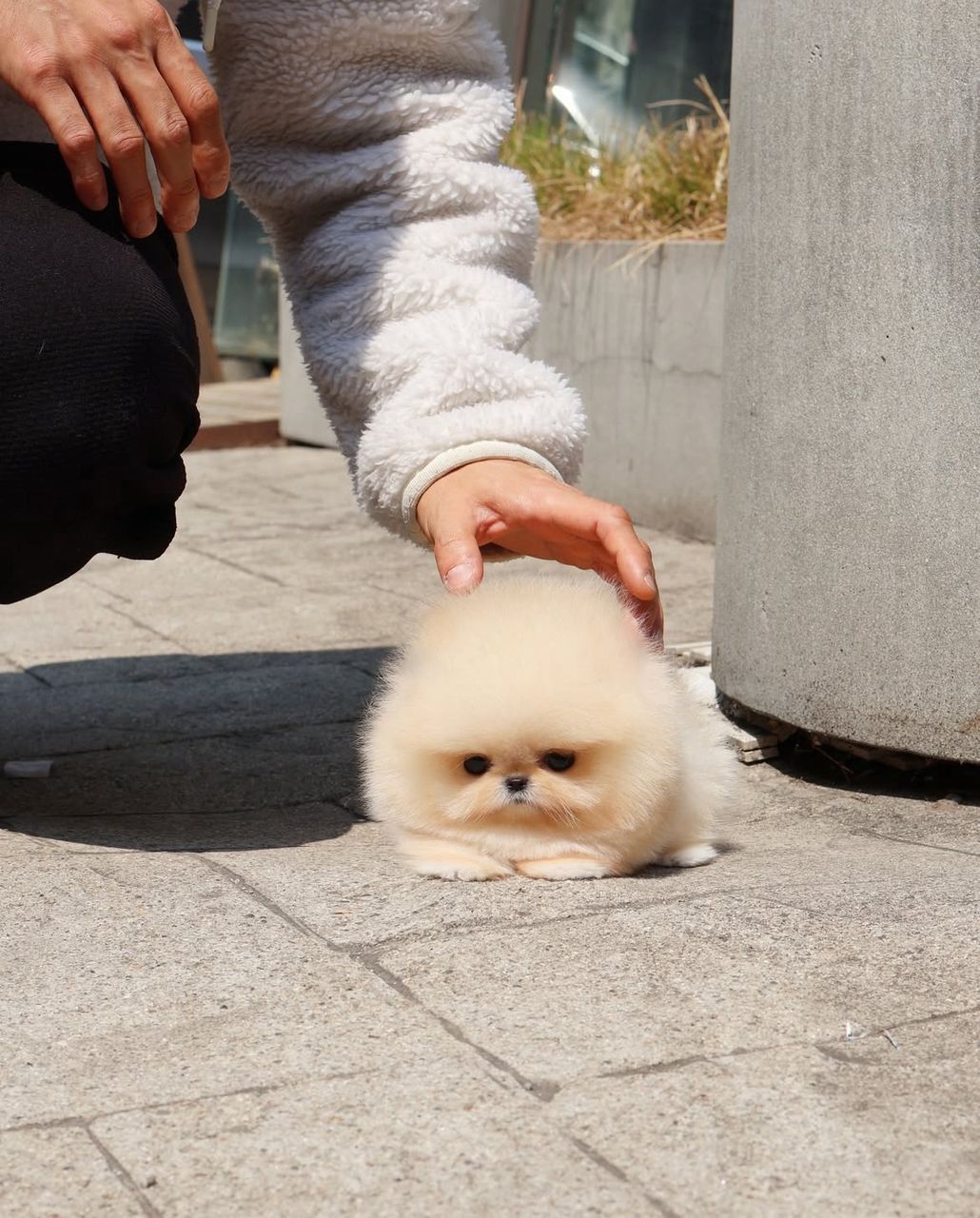 Pocket-sized perfection